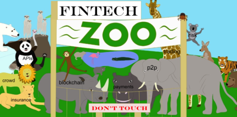 Welcome to the FinTech Zoo