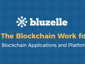 Singapore-Based Blockchain Solutions Provider Bluzelle Closes US$1.5 Million Series a Round