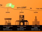 Remittance Infographic: The Demystifying the Cross Border Ecosystem
