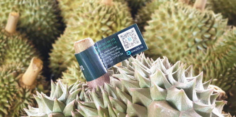 Millions of Durians Will Be Tracked on the Blockchain for Thailand’s Largest Durian Exporter