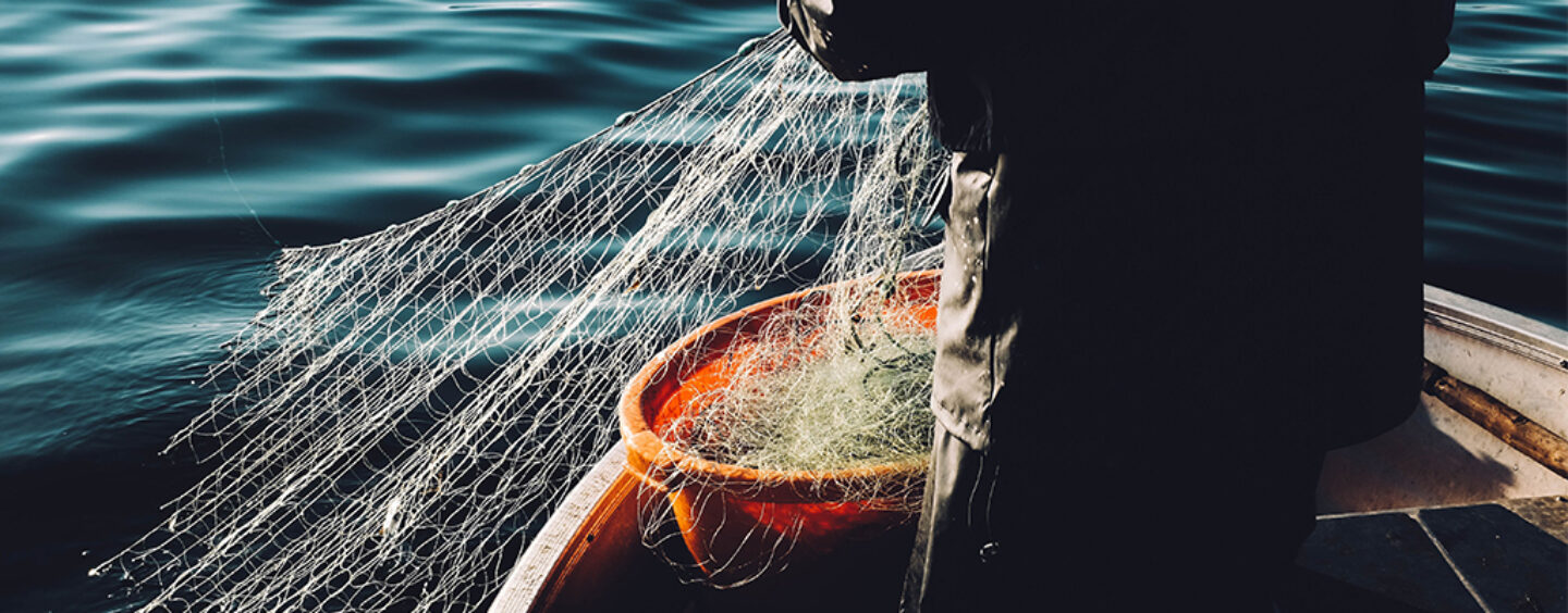 How Blockchain Is Bringing Transparency and Improved Efficiencies in Seafood Value Chains