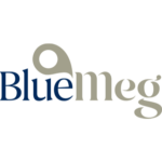 Fintech Startups in Singapore - Regtech - Bluemeg