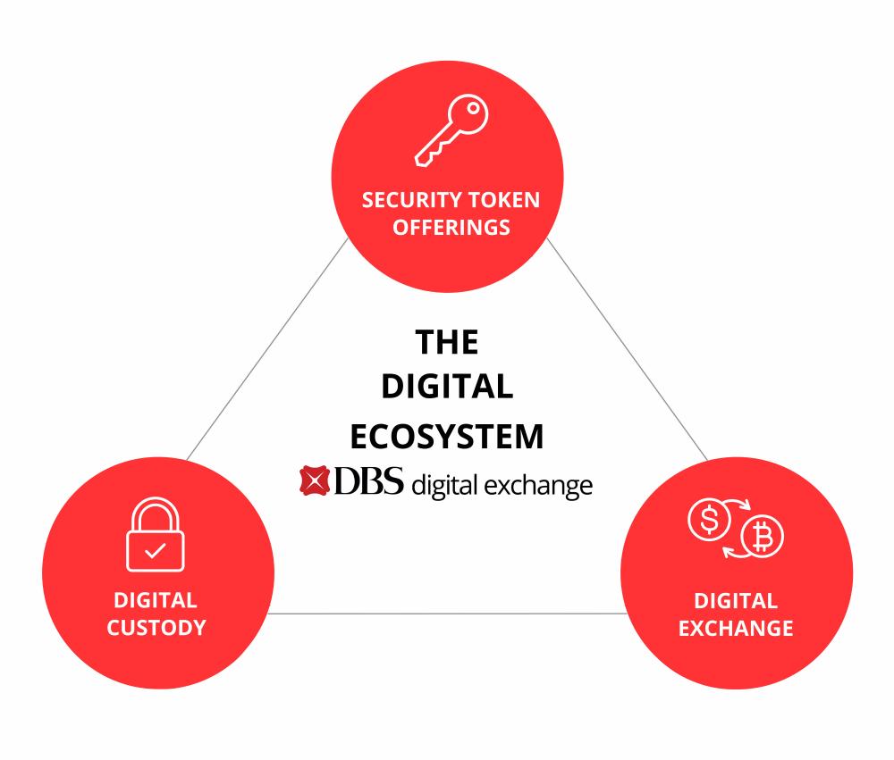 DBS Digital Exchange (DDEx) infographic, Source: DBS Bank