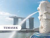 Temasek Denies Crypto Firm Array’s Investment Claims