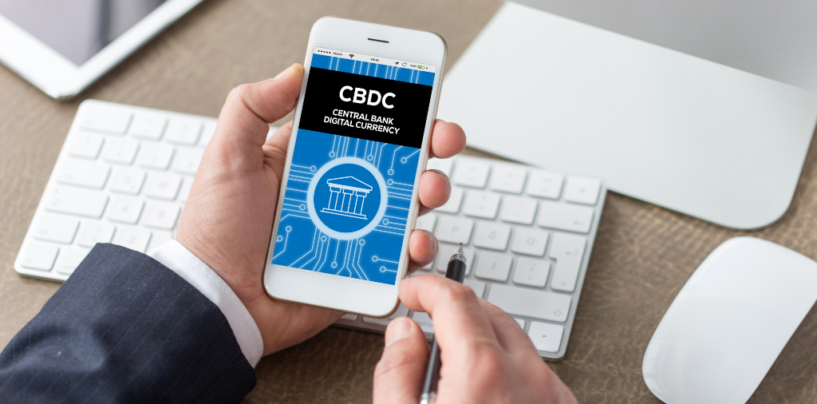 IMF Shows How Central Banks Can Learn from E-Money for CBDC Success