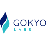 Fintech Big Data / AI Startups in Singapore - Gokyo Labs
